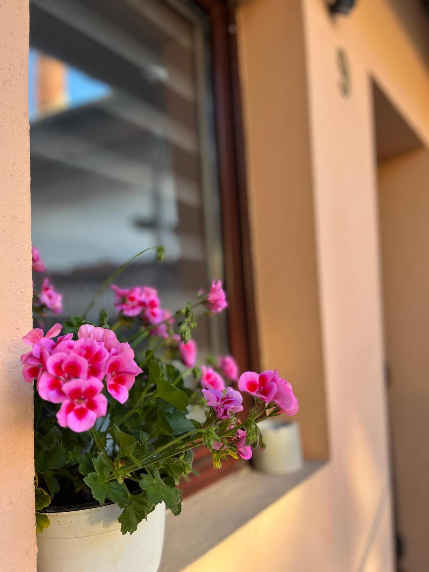 Moon And Sun Apartments Sibiu Exterior foto